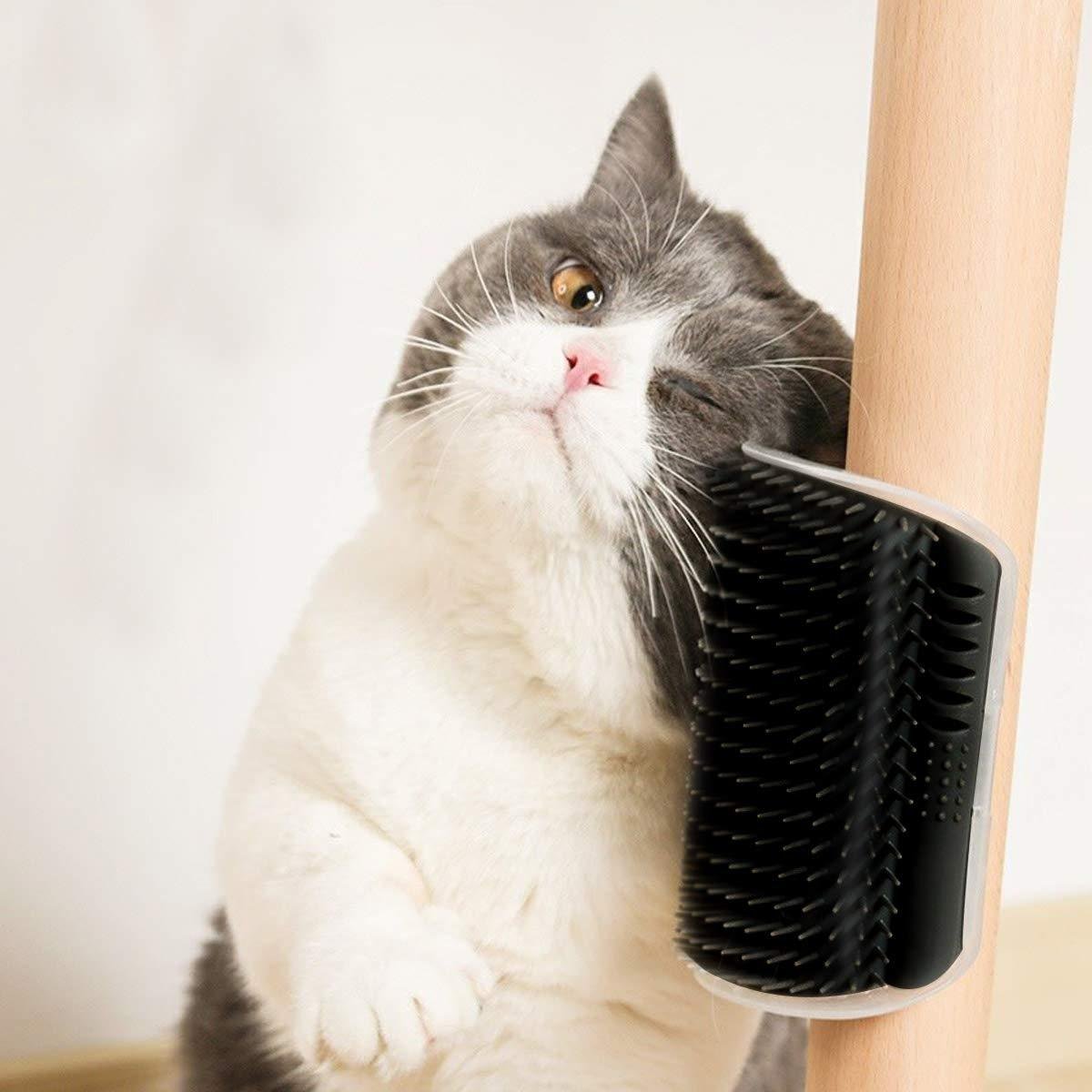 Cat Self Groomer Arch Self Cleaning Slicker Brush Upgraded Cat Brushes Wall Corner For Shedding Grooming, Softer Massager Comb Interactive Toy For Short Long Haired Dog Kitten Puppy - Image 7